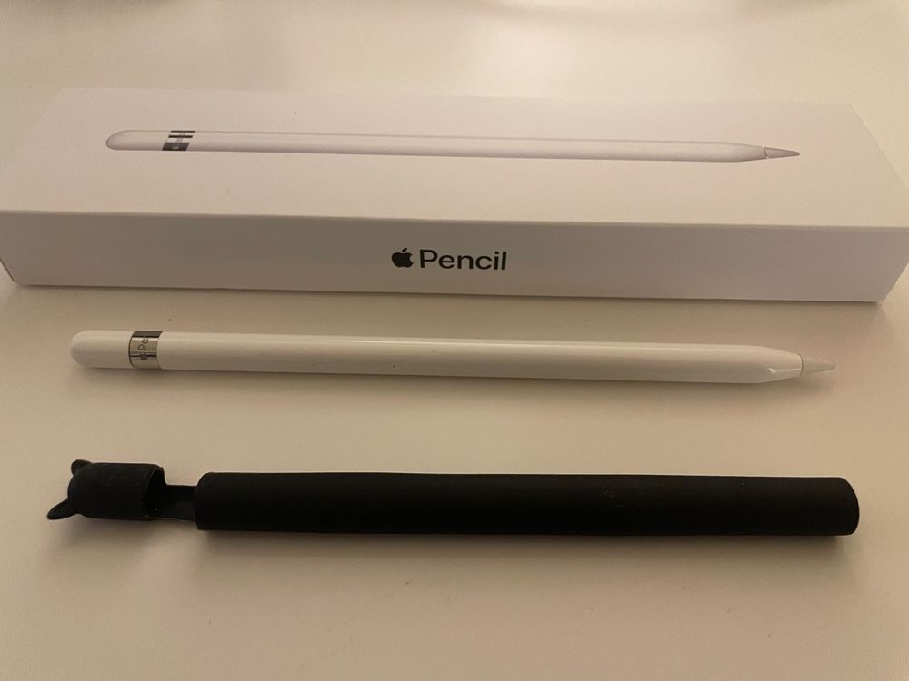 Apple Pencil 1.Gen mit Hülle Kaufen auf Ricardo