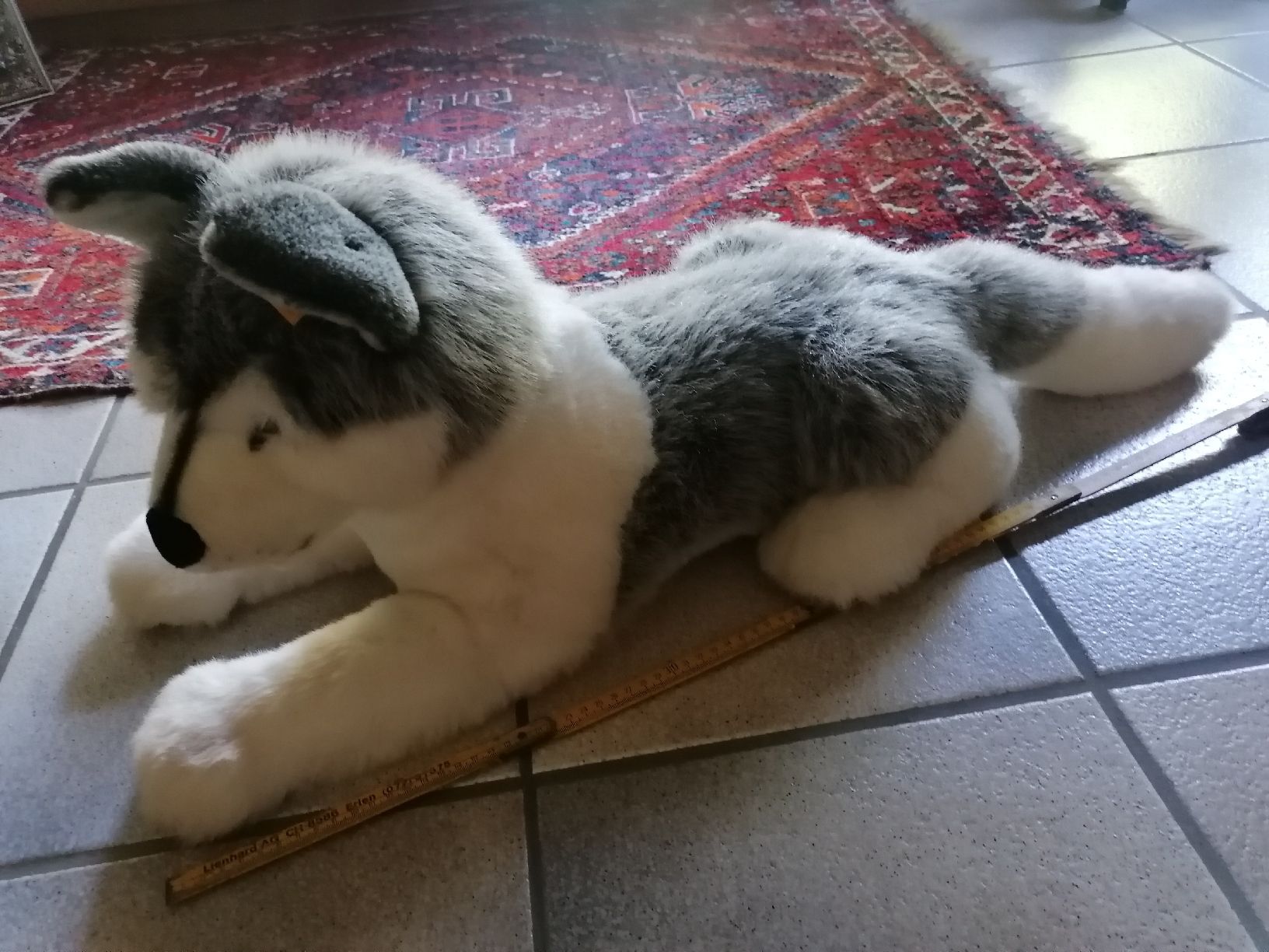 Steiff Spielzeuge: Steiff Hund Husky Sehr Gross – Gebraucht aus Biberist von troedlerheinz