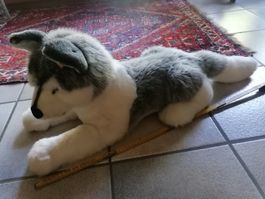 Steiff Hund Husky Sehr Gross