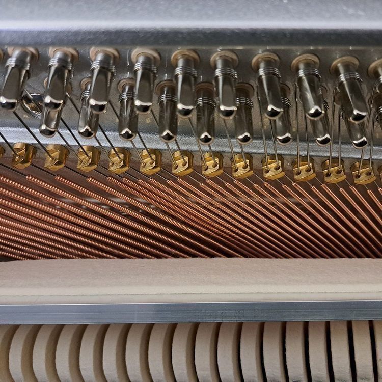 Strumenti musicali: Pure Basic 122 Peter-Maly-Edition - Ausstellungsmodell – Nuovo (secondo la descrizione) da Ittigen venduto da KrompholzMusik 5