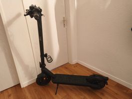 E-Scooter VX2 Pro GT-B, mit Blinker Schwarz