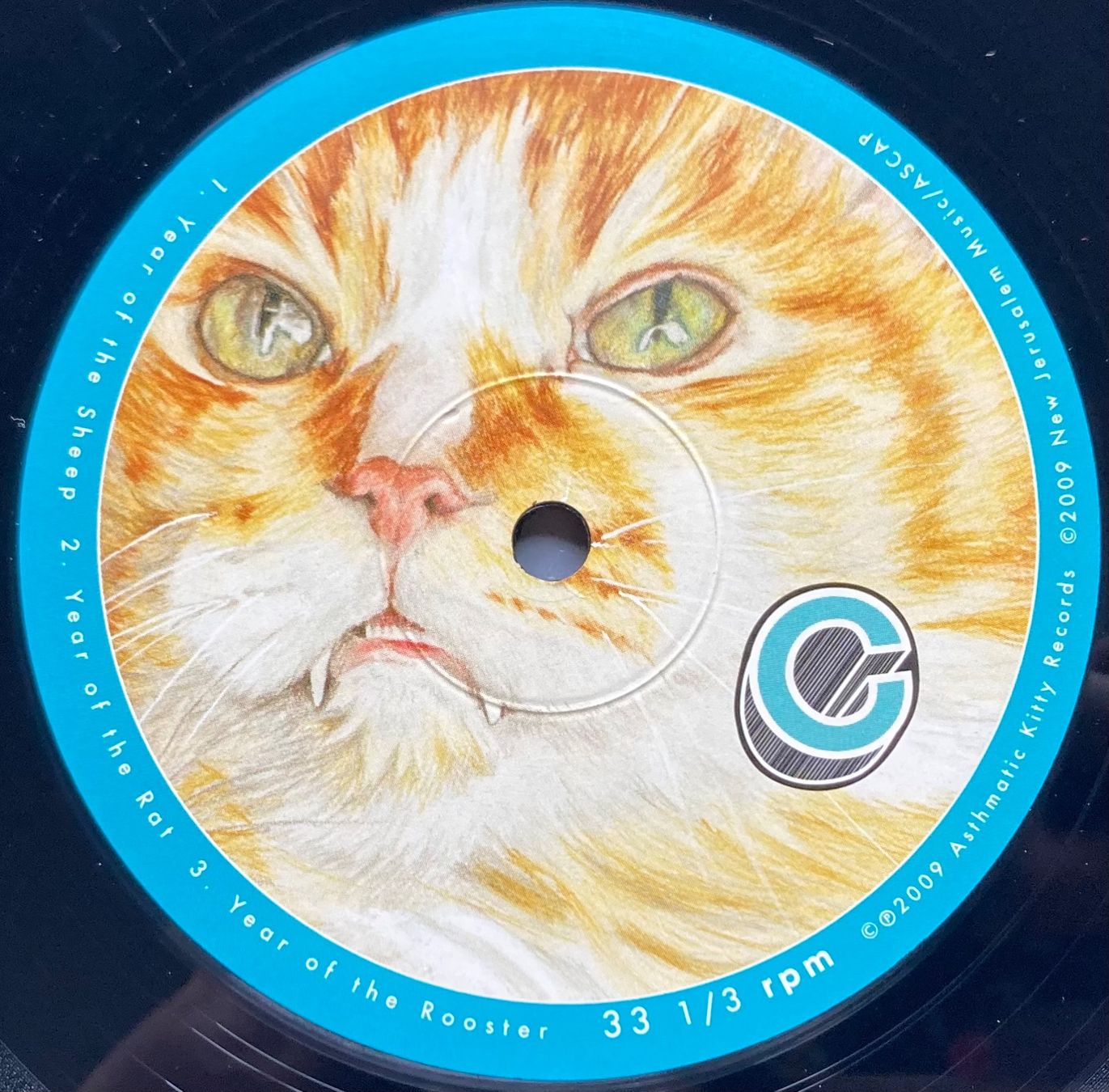 Vinyles: OSSO - RUN RABBIT RUN – D'occasion à Poliez-Pittet par Newtown-Records 4