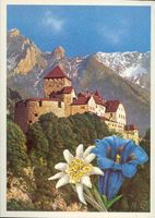 Vaduz   FL   -   Schloss  mit Edelweiss und Enzian