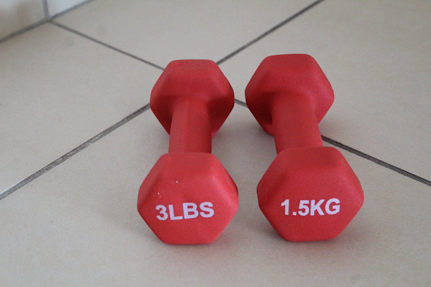 Manubri & Pesi: 2 x Kurzhanteln, je 1.5 Kilo – Usato da Locarno venduto da fripui 1