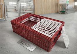Geflügel Transportbox - Landwirtschaftsbedarf NEU & OVP