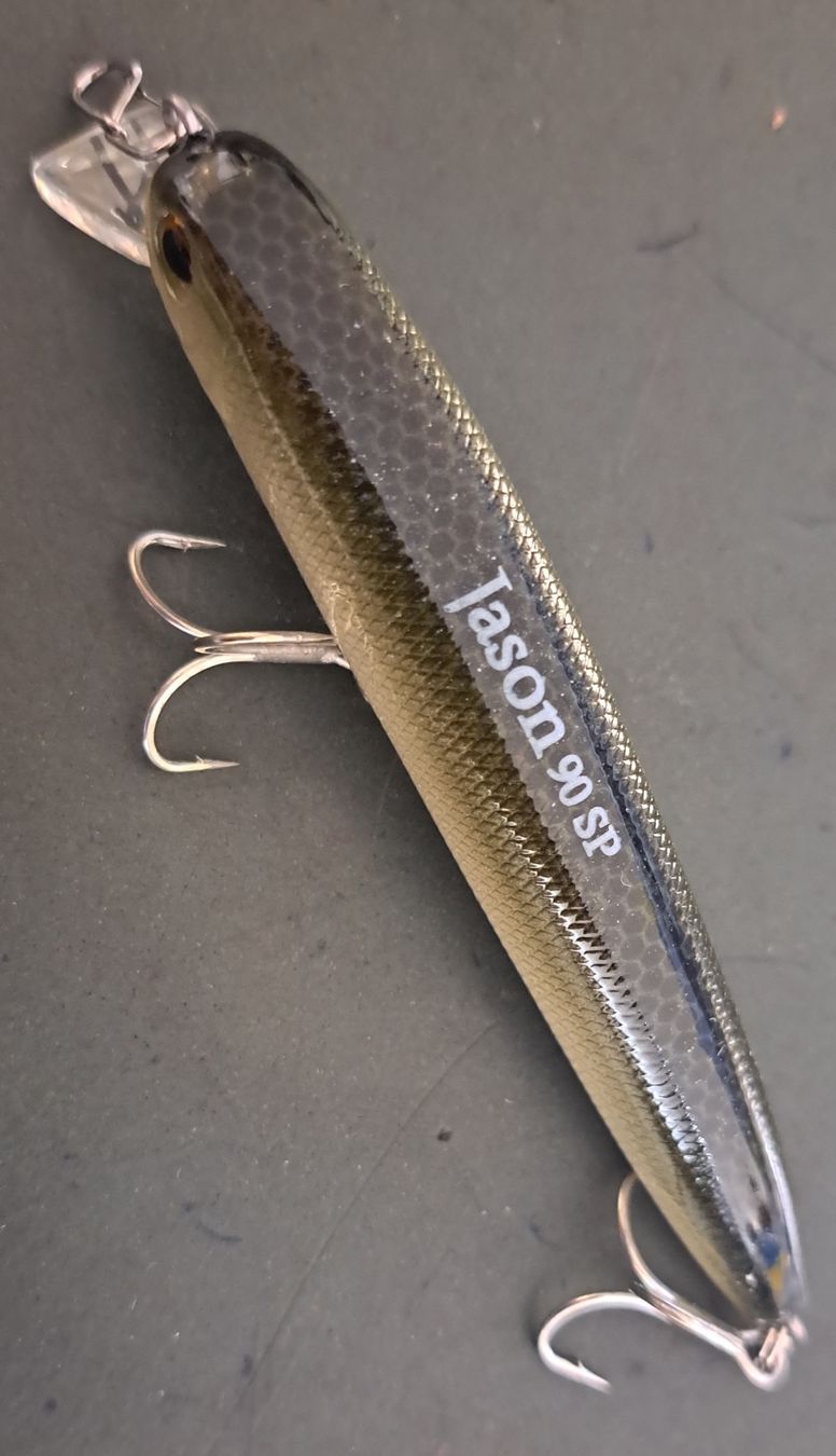 Esche: Illex Jason 90 SP Sakana – Nuovo e nell'imballaggio originale da Fribourg venduto da versus702 2