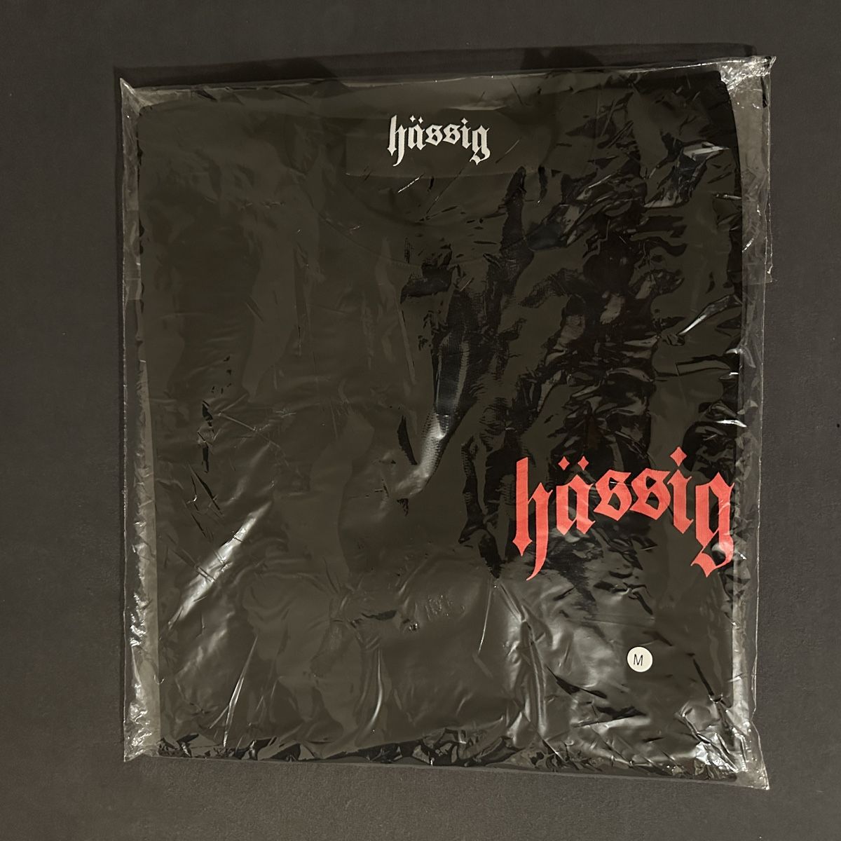 Hässig T-shirt: Hässig Logo Shirt – Nuovo e nell'imballaggio originale da Uster venduto da Jasonderulo 2