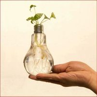 Design Vase Glühlampe. Kostenfreie Zustellung