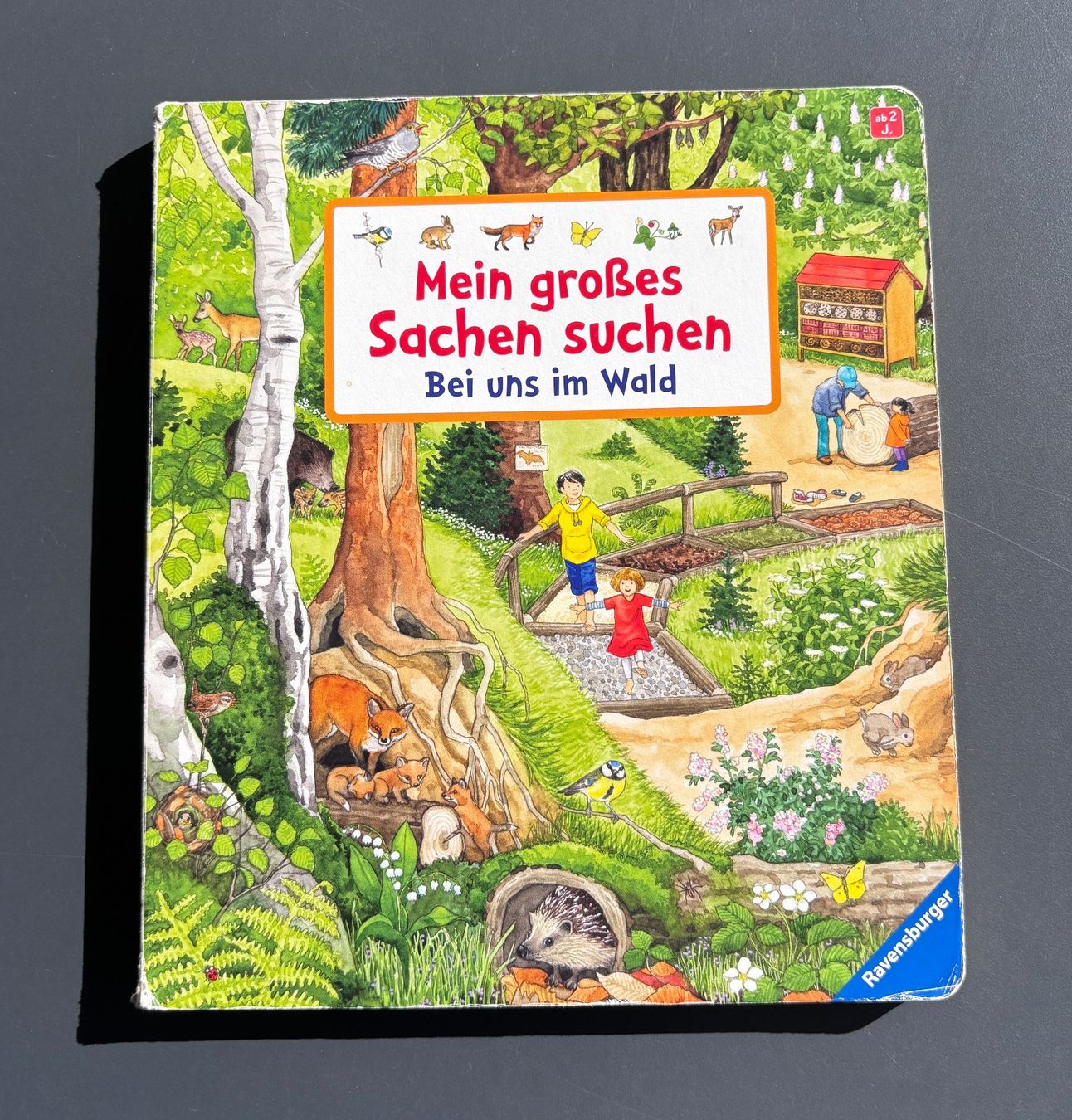Bücher: Kinderbuch – Gebraucht aus Brugg AG von tsannen