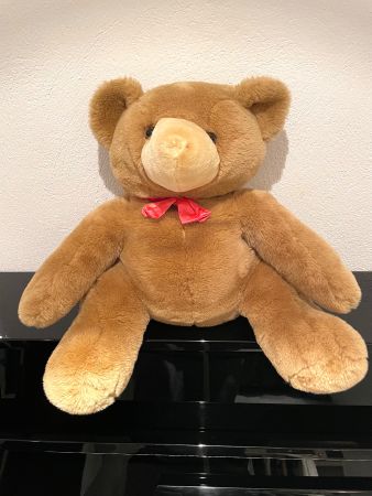 Petit teddy peluche