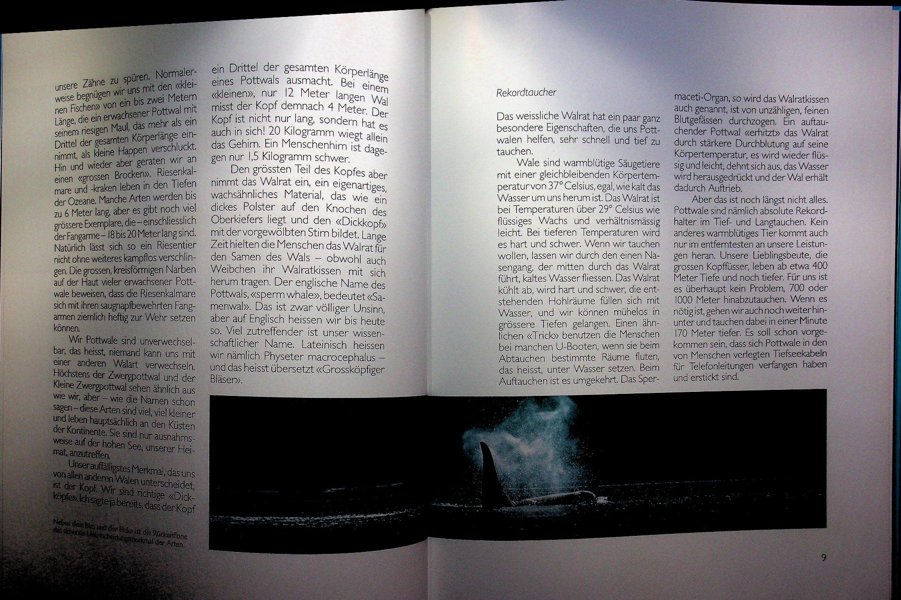 Bücher: Ursula Dolder Ich bin ein Wal Silva Verlag EA 1994 – Gebraucht aus Reitnau von Zaomir 2