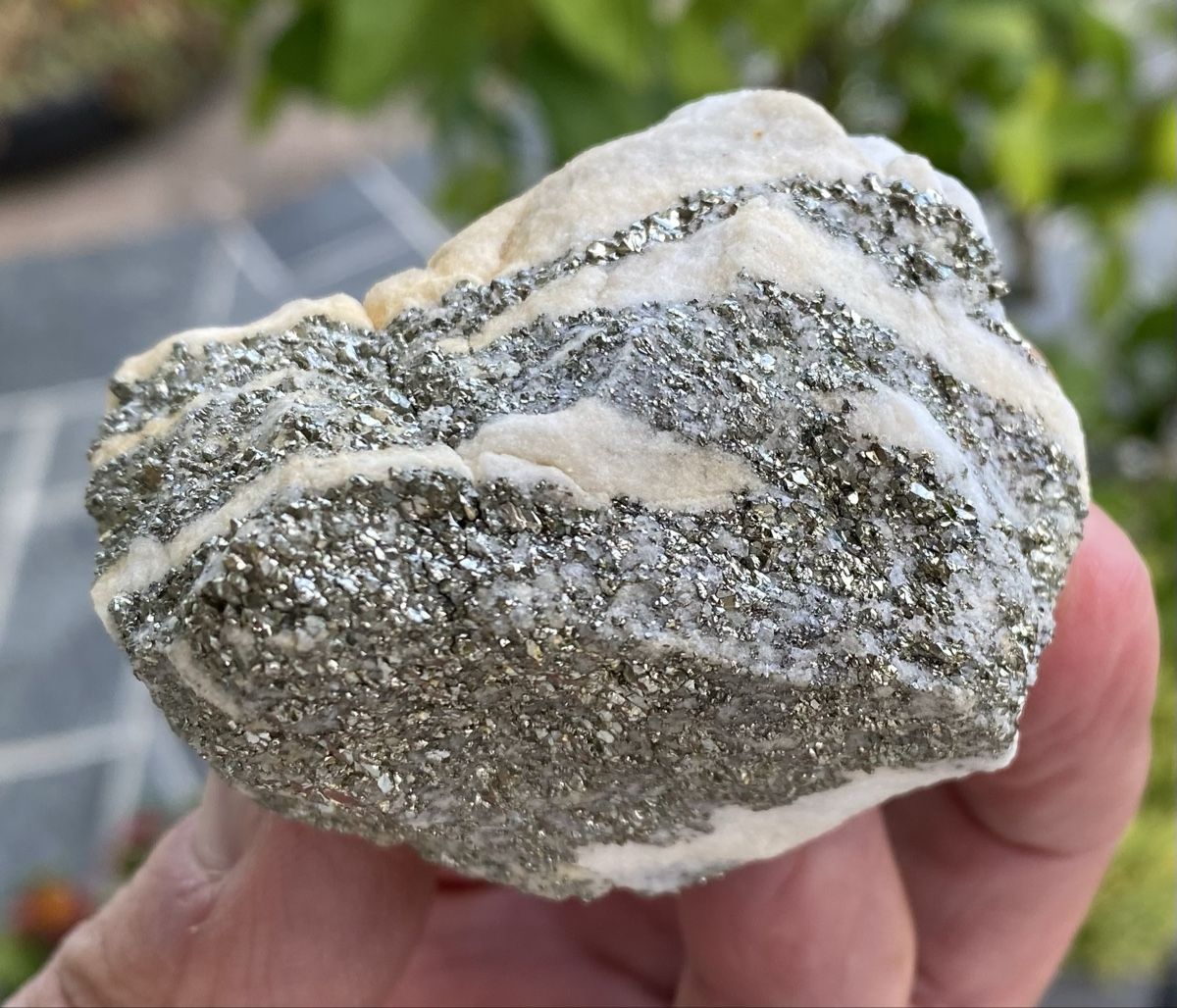 Mineralien & Heilsteine: Top Pyrit / Dolomit Lengenbach Binntal  – Gebraucht aus Selzach von 321compac 9