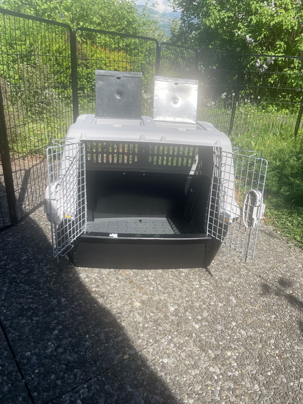 Gabbie, trasporto & Sicurezza: Praktische Hunde Transportbox – Usato da Einigen venduto da Monki777 2