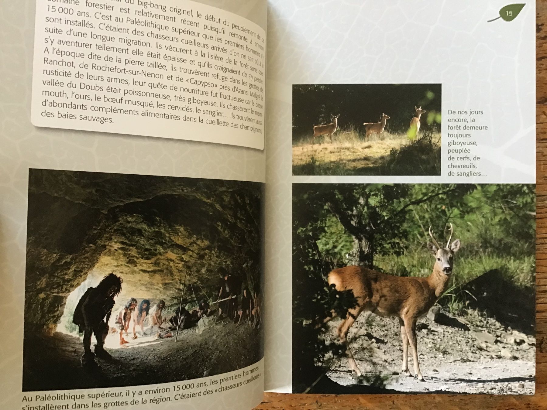 Libri: André Besson, secrets de la forêt – Usato da Fully venduto da Ruby97 3