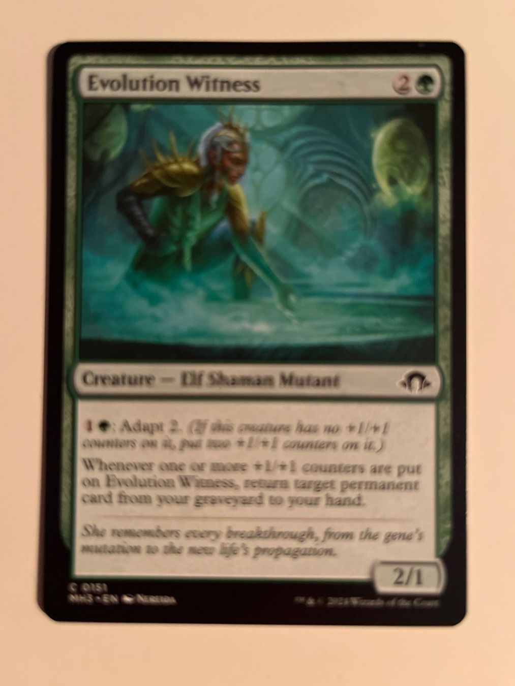 Magic The Gathering Carte collezionabili: 1 x Evolution Witness - Magic: The Gathering - MtG – Usato da Kriens venduto da Shadi1980