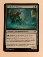 1 x Evolution Witness - Magic: The Gathering - MtG