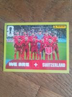 Panini SUI 13