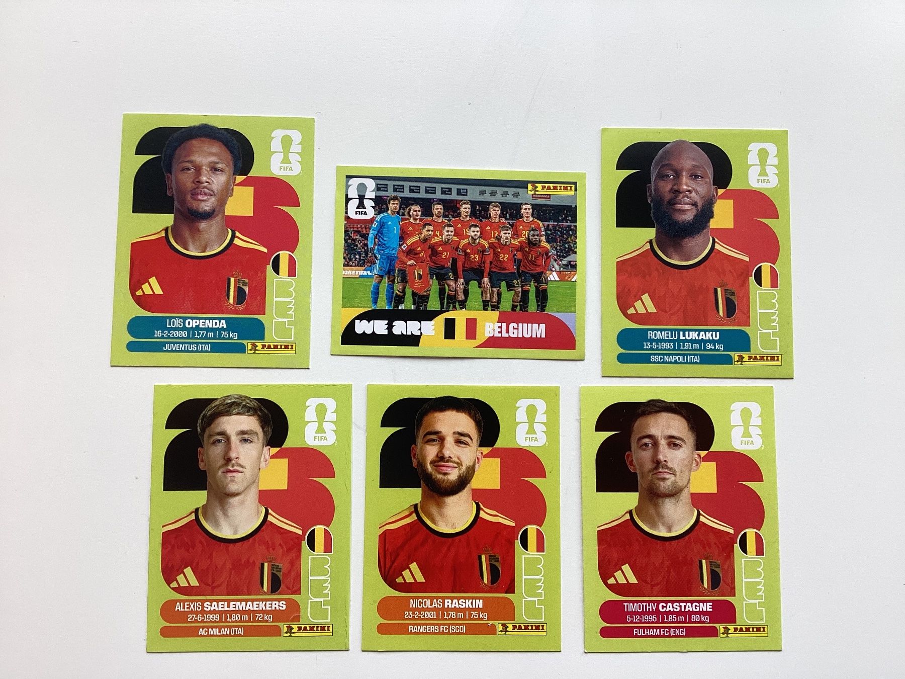 Panini Carte collezionabili: Panini WM 2026 Sticker Belgien Set – Nuovo (secondo la descrizione) da Lufingen venduto da Saboga