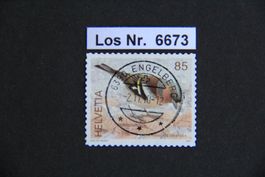 CH 2007 sauberer Vollstempel                        Los 6673