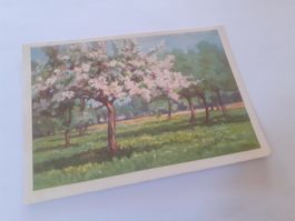 KUNST - MARIE ROLLE - BLUEHENDER OBSTGARTEN - AESCHI 1935