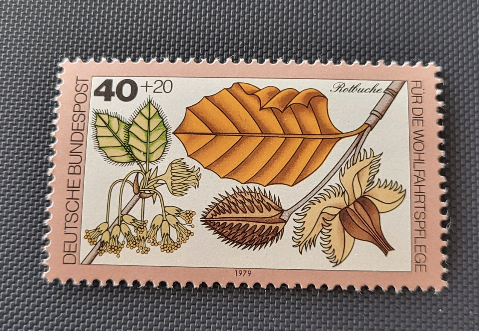 Alle Briefmarken: BRD 1979 briefmarke postfrisch ** – Neu (gemäss Beschreibung) aus St Gallen von Stampsalshobby