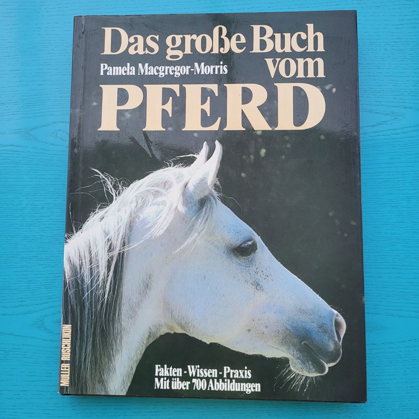 Libri: Das grosse Buch vom Pferd – Usato da SCHÜBELBACH venduto da CoKaHa
