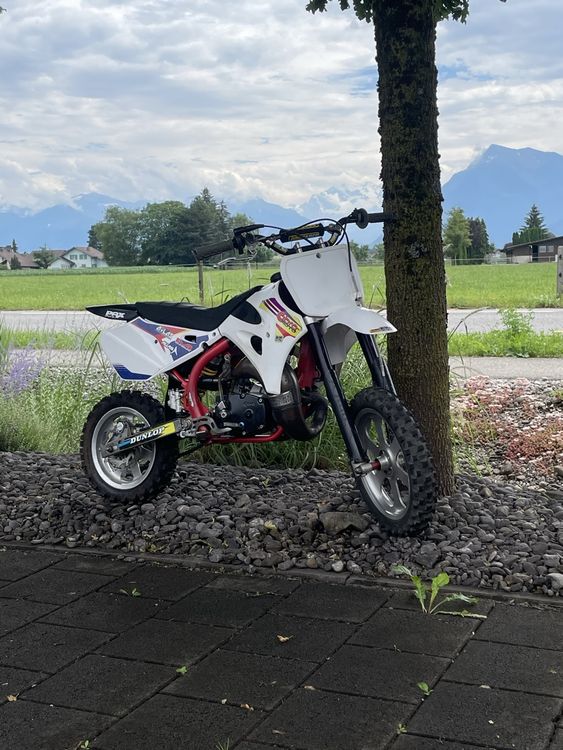 PLASTICA COMPLETA POCKET BIKE Std - View #3