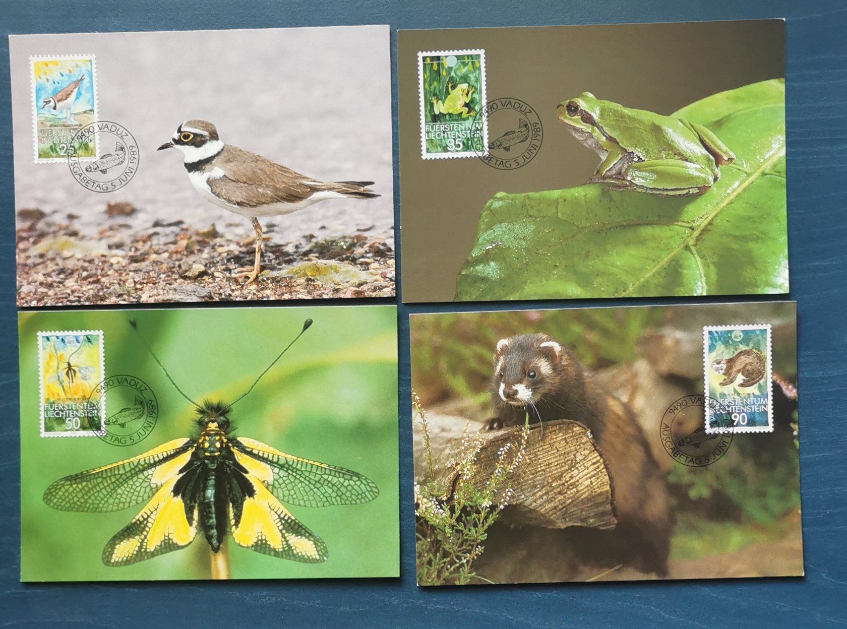 Alle Briefmarken: 4 Tierpostkarten1989 Lichtenstein – Neu (gemäss Beschreibung) aus Aadorf von Chnorli-Furz