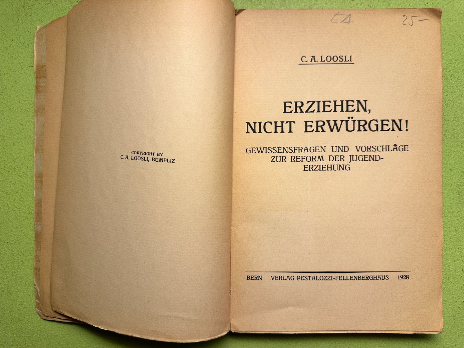 Libri: C. A. Loosli: Ich schweige nicht! 1925 – Usato da Zürich venduto da allp 2