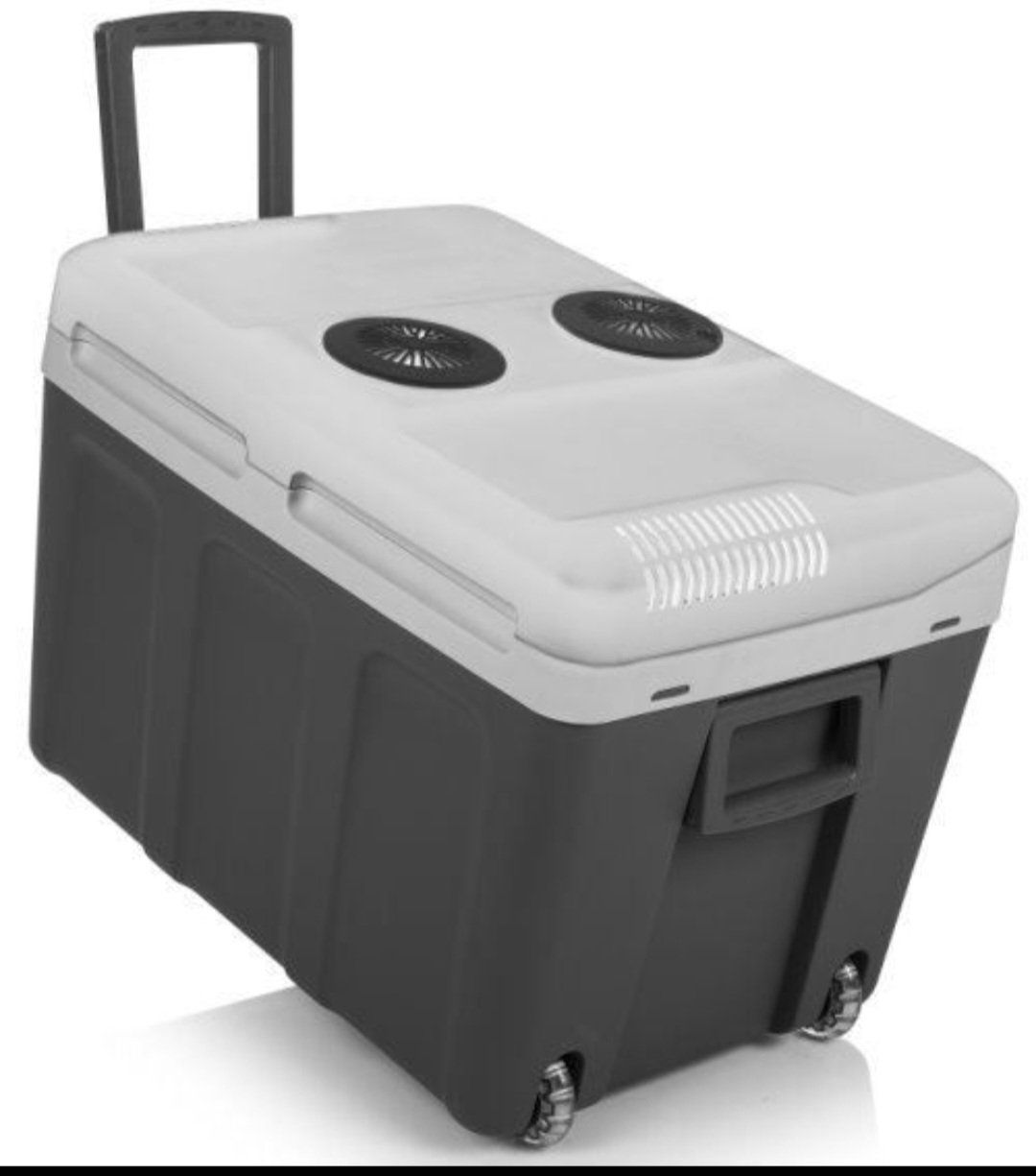 Réfrigérateurs et refroidissement: Weber KB40 Kühlbox 40L 12V – D'occasion à Gunzwil par corolla77 4