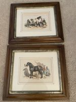 Pair of Vintage Horse Prints, Framed & Ready to Hang!