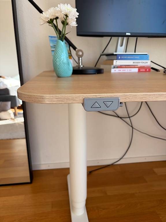 Schreibtische: Schreibtisch höhenverstellbar 120x80cm – Gebraucht aus Zürich von ali_j58x 1