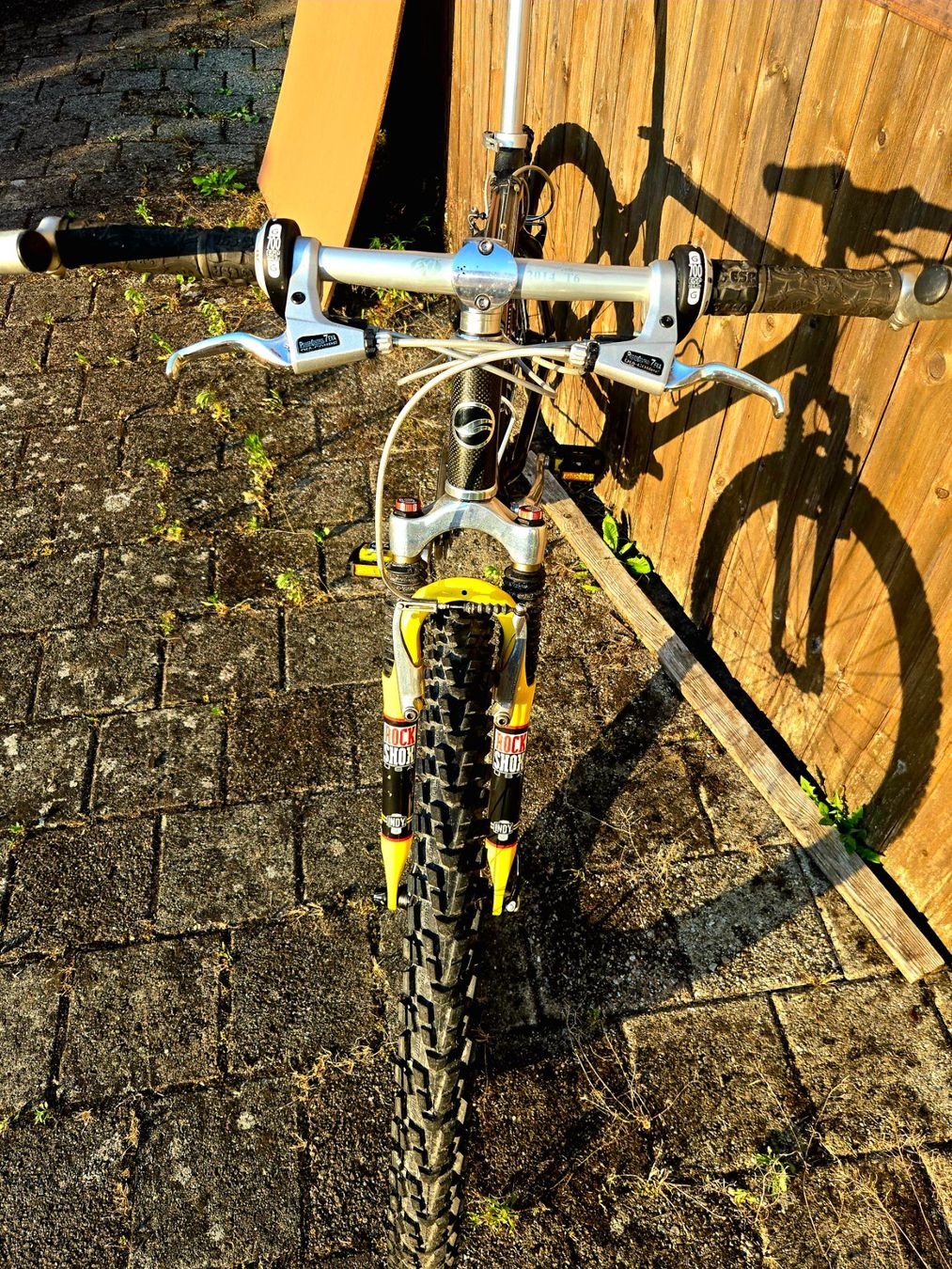Giant Biciclette: GIANT MCM carbon MTB Retro Kult Bike – Usato da Ammerswil AG venduto da Undenheim 5