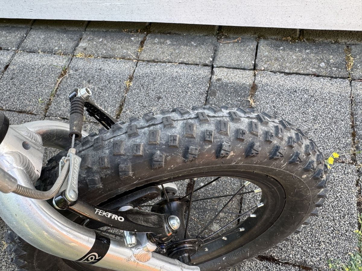 Early Rider Biciclette: Early Rider Seeker 14 – Usato da Therwil venduto da Rob_85 2