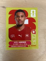 Panini SUI 7