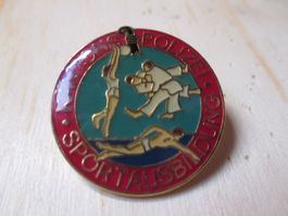 Kapo Polizei Solothurn Pin