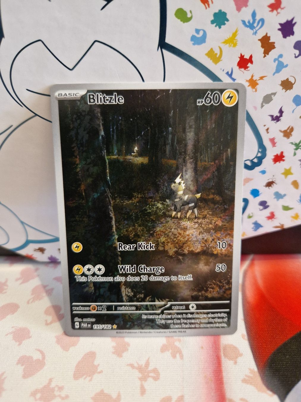 Pokémon Cartes à collectionner: Blitzle EN, NM – Neuf (Voir description) à Wangen b. Olten par shlem
