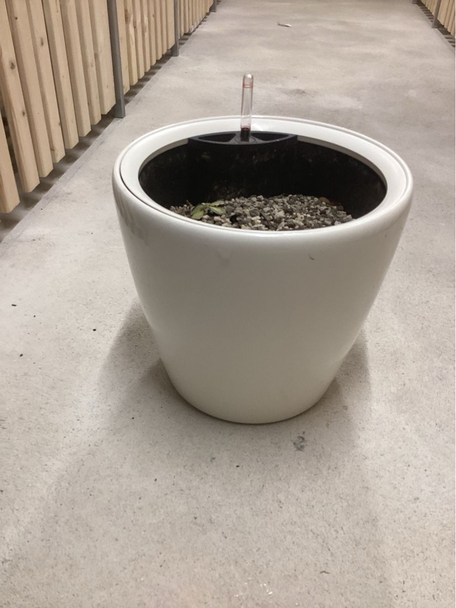 Pots de fleurs: Pfanztopf Hydrokulturen – D'occasion à Baden par Areekarl