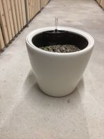 Pfanztopf Hydrokulturen