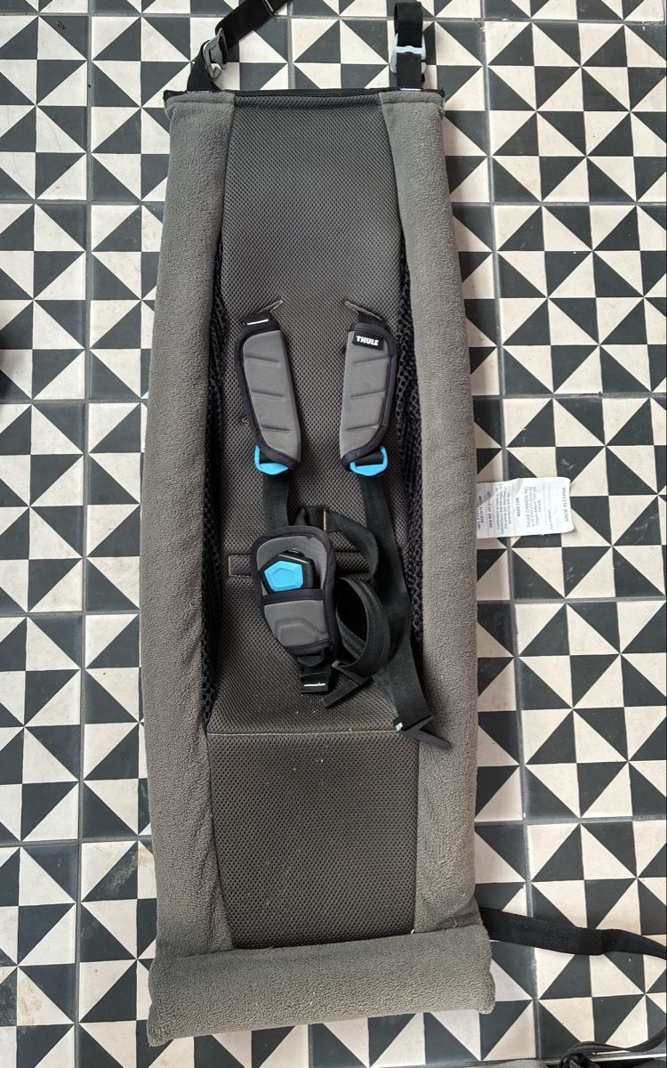 Thule Anhänger: THULE Chariot infant sling – Gebraucht aus Olten von louisamariia