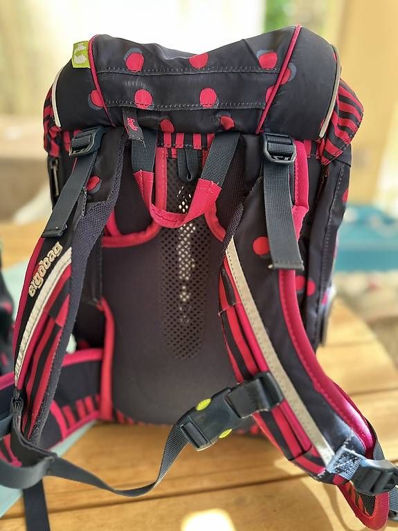 Sacs & sacs à dos: Ergobag – D'occasion à Berlingen par Bitzi5 2