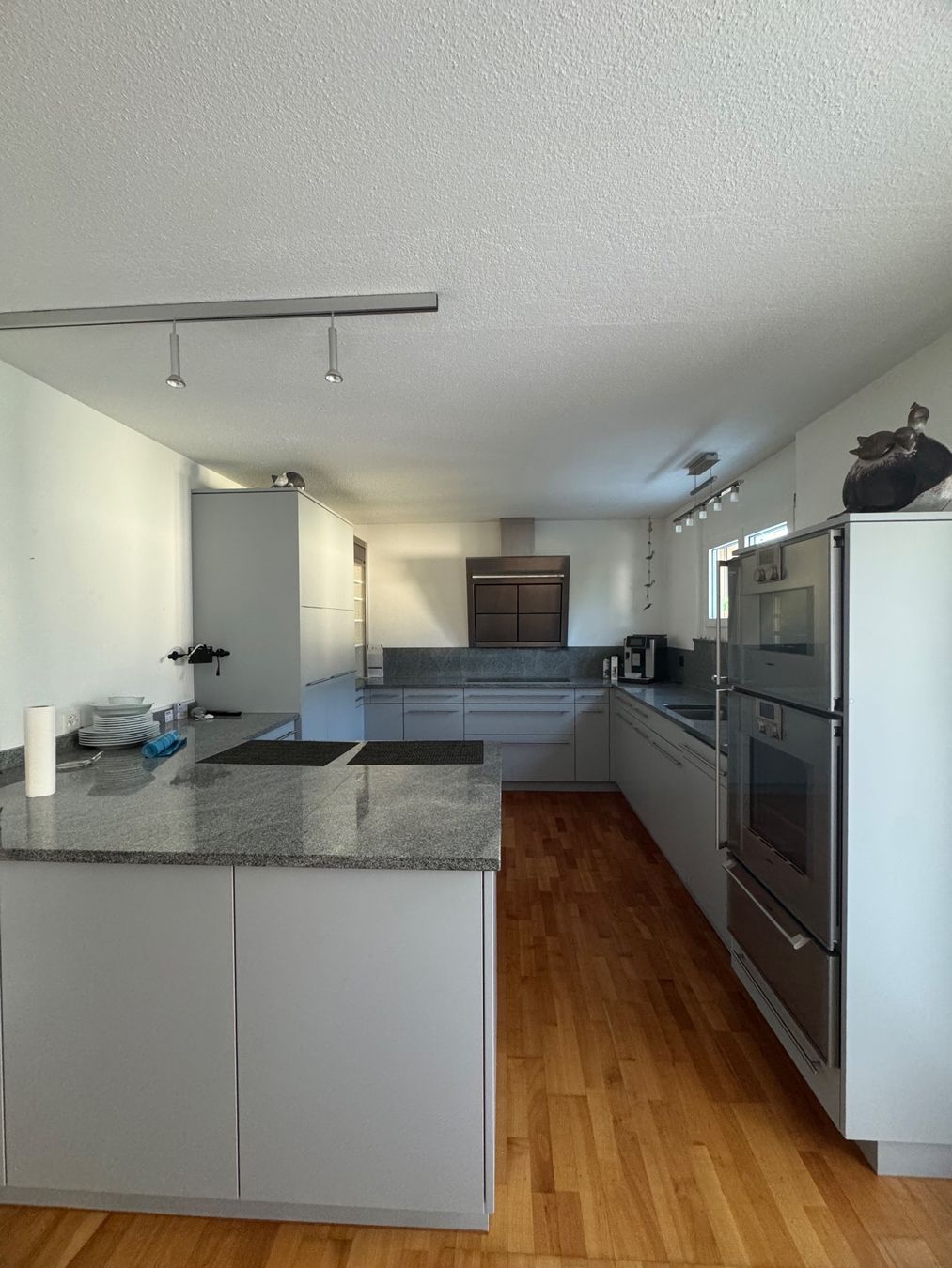 Cuisines complètes: Küche mit Gaggenau Geräten – D'occasion à Emmenbrücke par car_pt6y