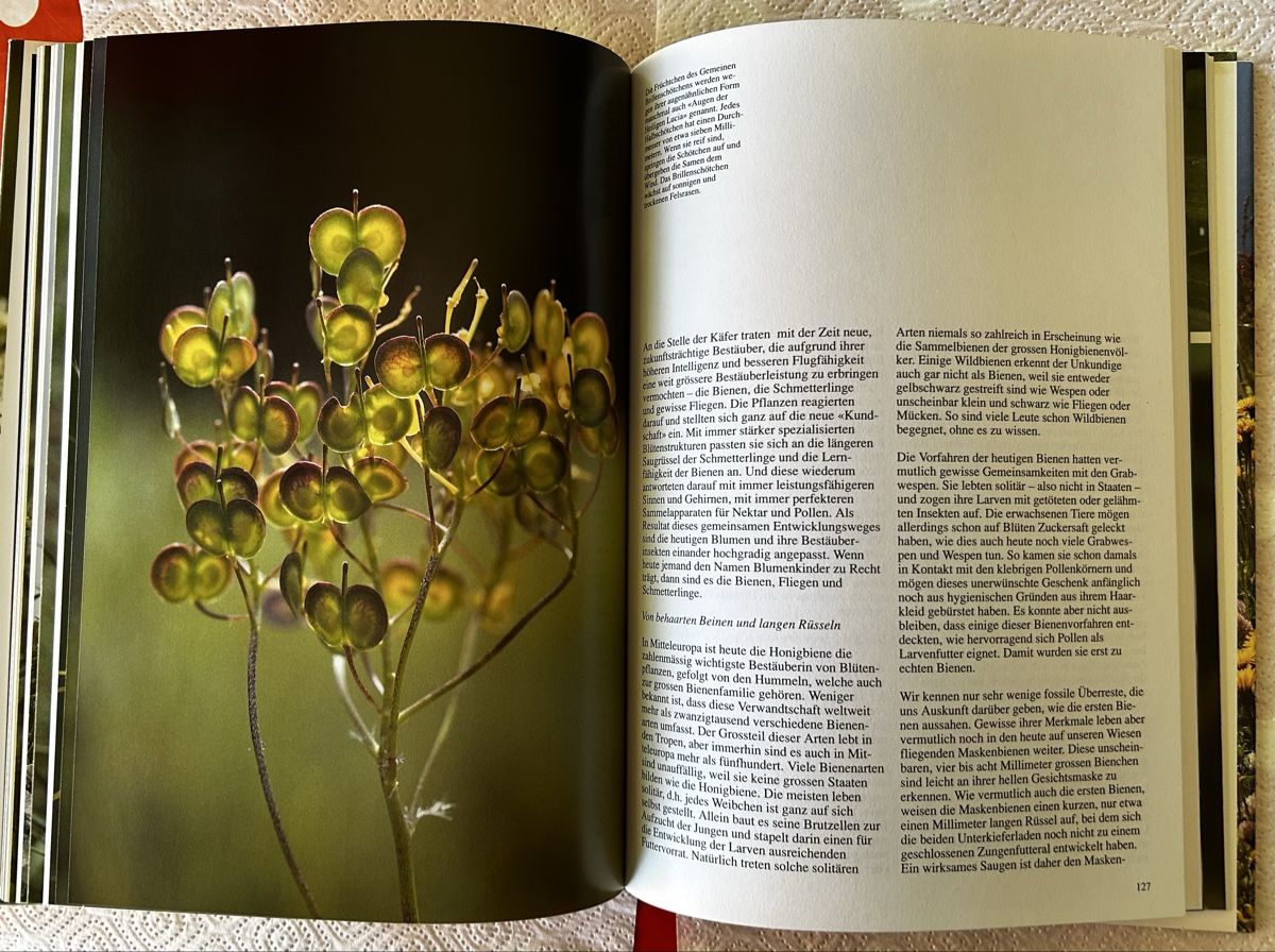 Libri: Die Wiese lebt, Silva-Verlag 1992 – Usato da Lengnau BE venduto da AgriOttu 7