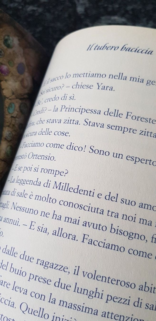 Libri: TEA STILTON "Principessa del buio" – Usato da Mezzovico venduto da maemy 2