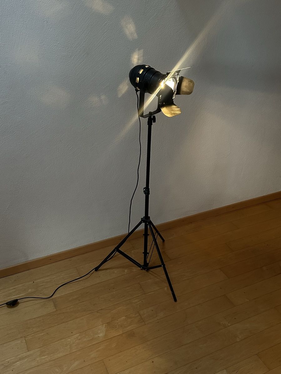 Lampes: Industrielle Stehleuchte schwarz  – D'occasion à Muttenz par Pinotmus 2