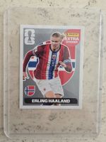 Panini FIFA World Cup 2026 – Haalan SILVER