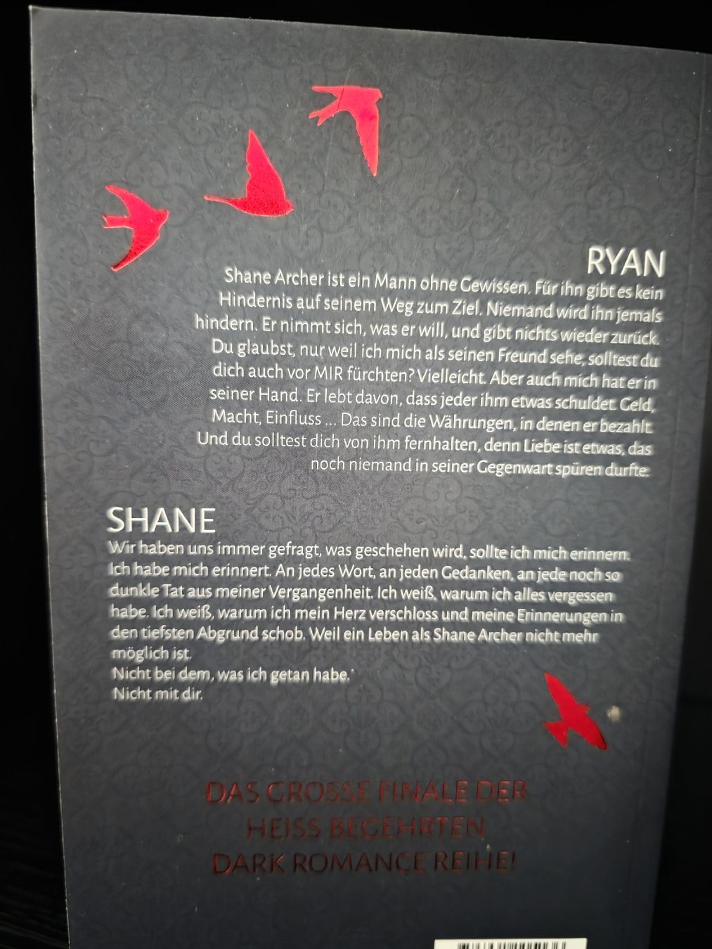 Libri: J.S Wonda Fallen Reihe Dark Romance – Usato da Tägerwilen venduto da XeniaH 3