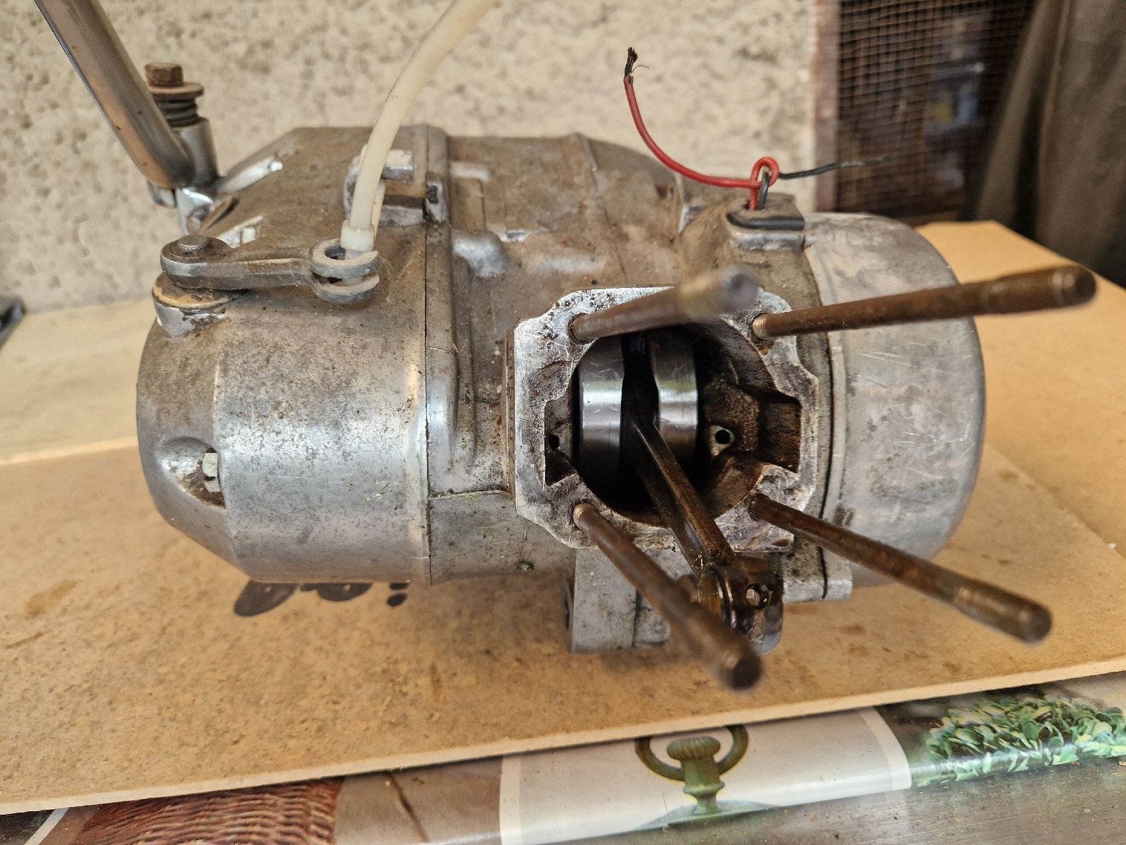 Puch Mofas: Motore Puch 4 marce – Gebraucht aus Breno von BorioliD 3