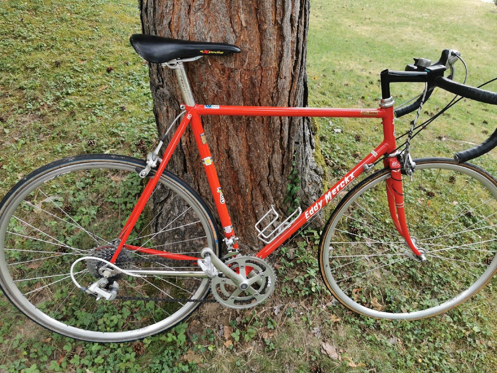 Velos: Eddy Merckx Rennvelo – Gebraucht aus Schwerzenbach von rao_m26t 2