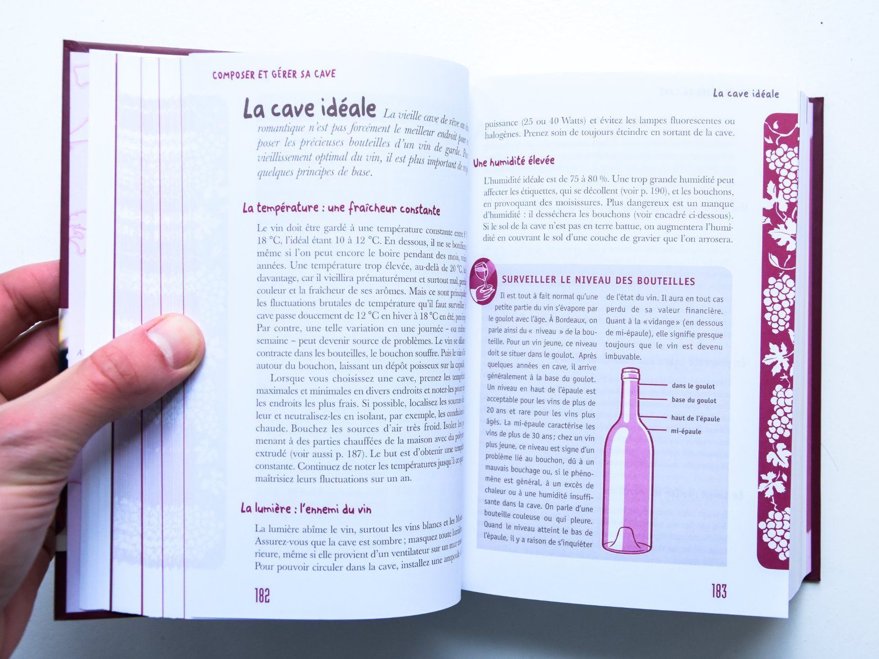 Libri: Le Petit Larousse des Vins – Nuovo (secondo la descrizione) da Belmont-sur-Yverdon venduto da bichet02 3